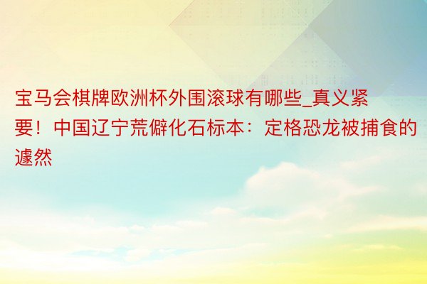 宝马会棋牌欧洲杯外围滚球有哪些_真义紧要！中国辽宁荒僻化石标本：定格恐龙被捕食的遽然