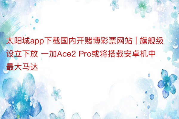太阳城app下载国内开赌博彩票网站 | 旗舰级设立下放 一加Ace2 Pro或将搭载安卓机中最大马达